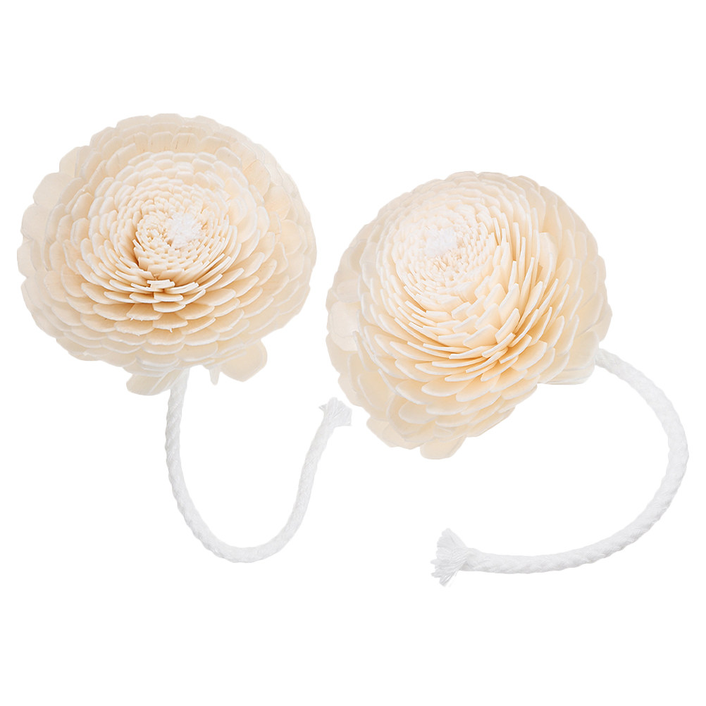 2Pcs Fragrance Bottle Diffuser – обзор и цена Home Fragrance Oils